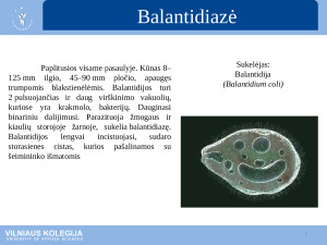 Parazitinės ligos. Paveikslėlis 7