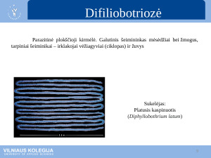 Parazitinės ligos. Paveikslėlis 9