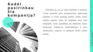 „FEDEX“ tarptautinės kompanijos strategijos analizė ir rizikų palyginimas. Paveikslėlis 8