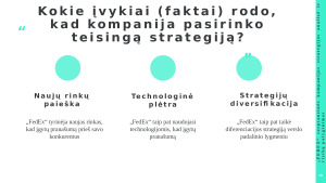 „FEDEX“ tarptautinės kompanijos strategijos analizė ir rizikų palyginimas. Paveikslėlis 9