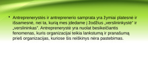 Antreprenerystė. Paveikslėlis 7