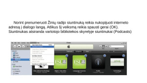 Garso ir vaizdo siuntinukų sklaida internete. Paveikslėlis 8
