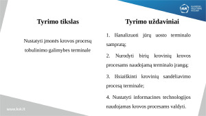 Įmonės krovos procesų terminale tobulinimo galimybės verslas. Paveikslėlis 3