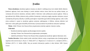 Įtraukiojo ugdymo įstaigos situacijos analizė. Paveikslėlis 2