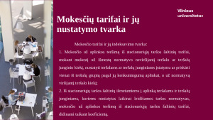 Lietuvoje taikomų taršos mokesčių analizė. Paveikslėlis 7