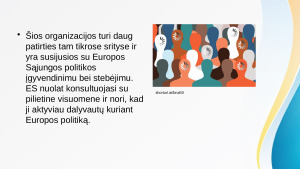 Pilietinė visuomenė. Paveikslėlis 5