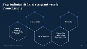 Prancūzijos verslo santykių teisinė analizė. Paveikslėlis 7