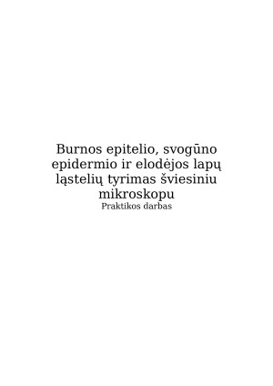 Burnos epitelio, svogūno epidermio ir elodėjos lapų ląstelių tyrimas šviesiniu mikroskopu. Paveikslėlis 1