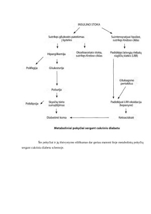 Cukrinio diabeto diagnostika. Paveikslėlis 10
