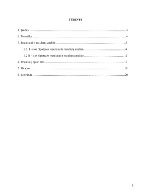 Ebinghaus atminties tyrimo programa. Paveikslėlis 2