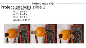 Elektrinis laidumas skirtinguose vaisiuose ir daržovėse. Paveikslėlis 10
