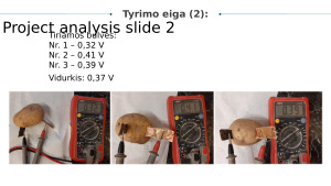 Elektrinis laidumas skirtinguose vaisiuose ir daržovėse. Paveikslėlis 5