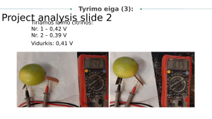 Elektrinis laidumas skirtinguose vaisiuose ir daržovėse. Paveikslėlis 6