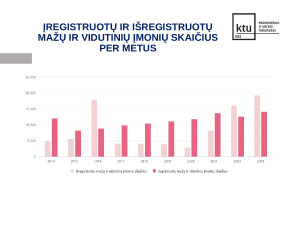 Smulkiojo ir vidutinio verslo finansavimo problemos Lietuvoje. Paveikslėlis 4