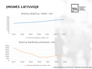 Smulkiojo ir vidutinio verslo finansavimo problemos Lietuvoje. Paveikslėlis 5