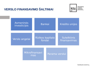 Smulkiojo ir vidutinio verslo finansavimo problemos Lietuvoje. Paveikslėlis 6