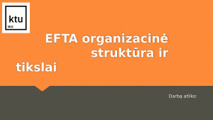 EFTA organizacinė struktūra ir tikslai