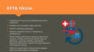 EFTA organizacinė struktūra ir tikslai. Paveikslėlis 5