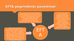 EFTA organizacinė struktūra ir tikslai. Paveikslėlis 7