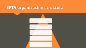 EFTA organizacinė struktūra ir tikslai. Paveikslėlis 8