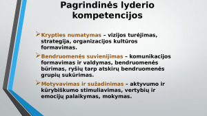 Lyderystė ir lyderis. Paveikslėlis 8