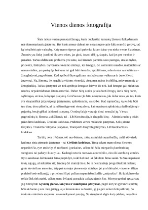 Vienos dienos fotografija. Paveikslėlis 1