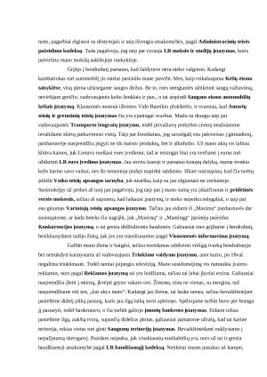 Vienos dienos fotografija. Paveikslėlis 2