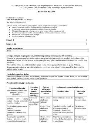 Dailės pamokos planas: portfelis