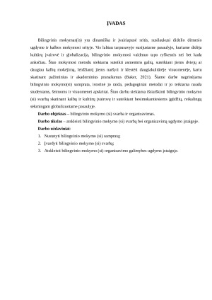 Bilingvinis mokymasis. Paveikslėlis 1