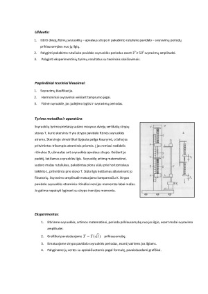 Fizinės svyruoklės tyrimas. Paveikslėlis 2