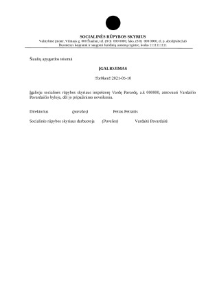 Dokumentų pavyzdžiai