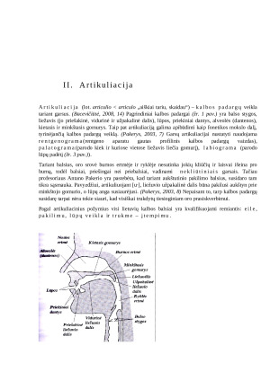 Fonetikos referatas. Balsis Ū. Paveikslėlis 4