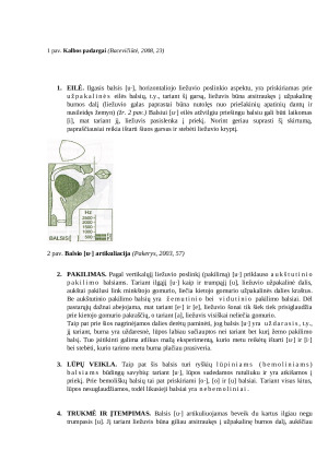 Fonetikos referatas. Balsis Ū. Paveikslėlis 5