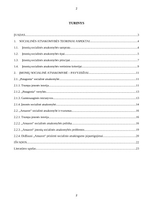 ĮMONIŲ SOCIALINĖ ATSAKOMYBĖ. Paveikslėlis 2