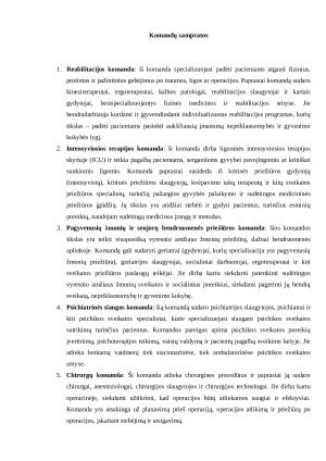 Komandų sampratos. Paveikslėlis 1