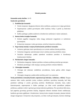Komandų sampratos. Paveikslėlis 2