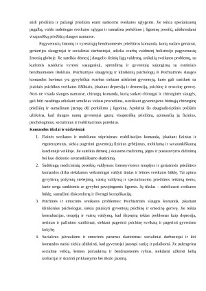 Komandų sampratos. Paveikslėlis 3