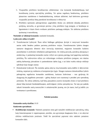 Komandų sampratos. Paveikslėlis 4