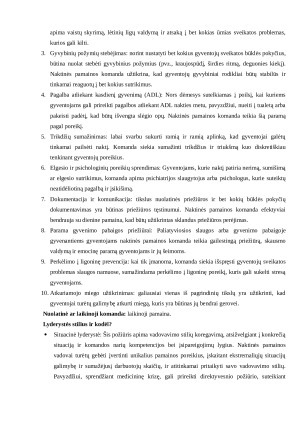 Komandų sampratos. Paveikslėlis 6