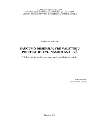 SAUGUMO DIMENSIJA VRE VALSTYBIŲ POLITIKOJE: LYGINAMOJI ANALIZĖ