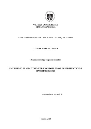 SMULKIOJO IR VIDUTINIO VERSLO PROBLEMOS IR PERSPEKTYVOS ŠIAULIŲ REGIONE