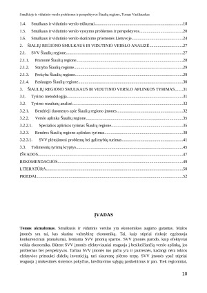 SMULKIOJO IR VIDUTINIO VERSLO PROBLEMOS IR PERSPEKTYVOS ŠIAULIŲ REGIONE. Paveikslėlis 10