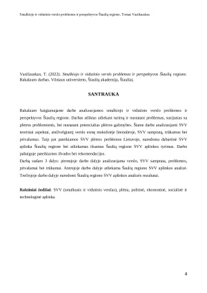 SMULKIOJO IR VIDUTINIO VERSLO PROBLEMOS IR PERSPEKTYVOS ŠIAULIŲ REGIONE. Paveikslėlis 4