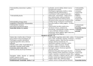 6 KLASĖS LIETUVIŲ KALBOS IR LITERATŪROS ILGALAIKIS PLANAS 2025m. Paveikslėlis 5