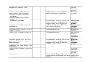 6 KLASĖS LIETUVIŲ KALBOS IR LITERATŪROS ILGALAIKIS PLANAS 2025m. Paveikslėlis 7