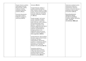 7 KLASĖS LIETUVIŲ KALBOS IR LITERATŪROS ILGALAIKIS PLANAS 2025m. Paveikslėlis 8