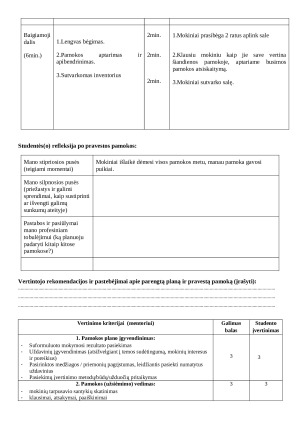 Pamokos plano forma: krepšinio žaidimas. Paveikslėlis 2