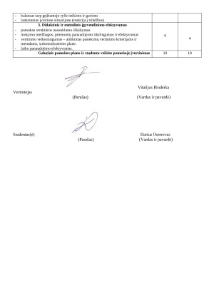 Pamokos plano forma: krepšinio žaidimas. Paveikslėlis 3