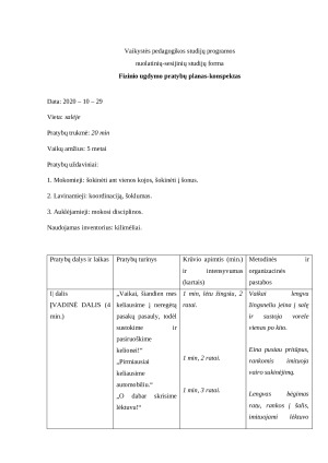 Koordinacijos, šoklumo gerinimas, pamokos planas