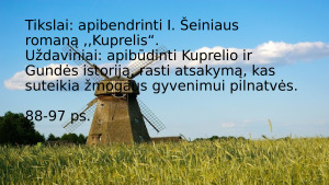 Igno Šeiniaus „Kuprelis”. Paveikslėlis 4